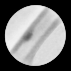 Rysunek tarczy Jowisza ze zróżnicowaną jasnością poszczególnych obszarów tarczy