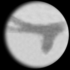 Rysunek tarczy Marsa z zaznaczonymi ciemnymi strukturami