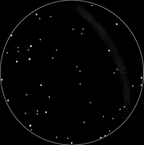 Rysunek mgławicy Veil (NGC6992)